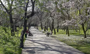 Vojanovy sady