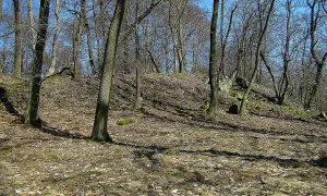Březina (hradiště)