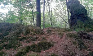 Hrad Přílepy