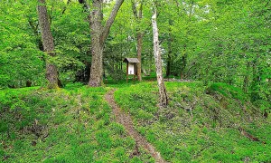 Hradiště (Bílá Studně)