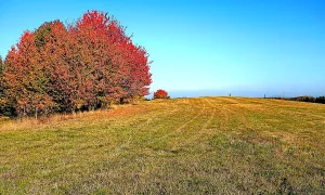 Hradiště (1000143970)
