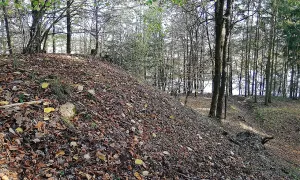 Hradiště Na hradu