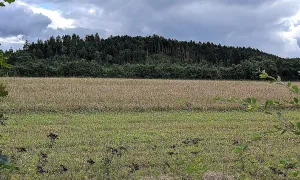 Hradiště U Svaté Anny