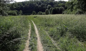 Hradiště V chobotech