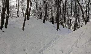 Hradiště Zámčisko