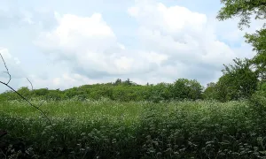 Hradiště u svatého Jiří