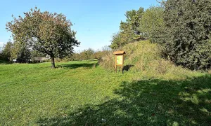 Hradiště Šance (Královice)