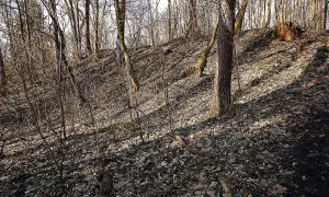 Hradišťátko