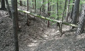 Hrádek u Třebonína