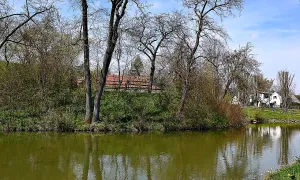 Jeřeň