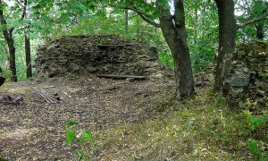 Kokšín