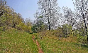 Kotýz
