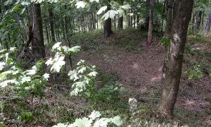Kozlov (hrad, okres Semily)