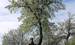 Křížová cesta u Jistebnice
