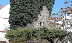 Městské opevnění (Vodňany)