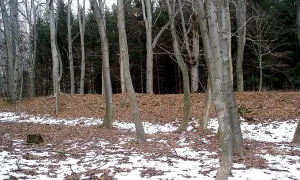 Na Rovinách