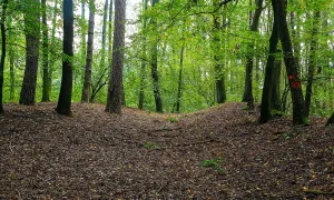 Na Valech (Horní Přím)