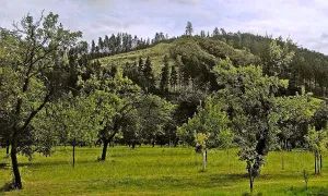 Nový Šaumburk