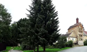 Pivovar (Pacov)