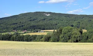 Plešivec