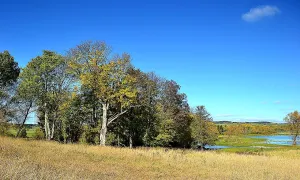 Prohořský hrádek