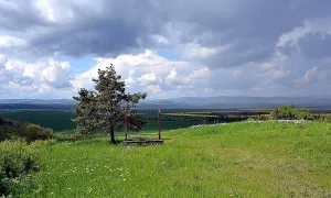 Rubín