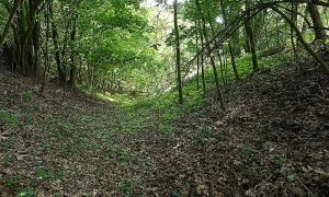 Rácov
