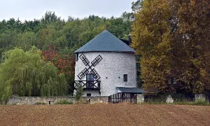 Scholzeho větrný mlýn