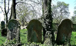 Starý židovský hřbitov v Kolíně