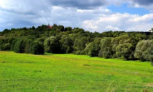 Tasnovice (hradiště)