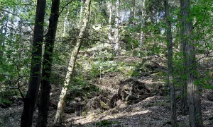 Třebonín