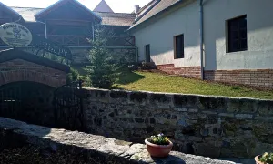 Vodní mlýn (Dašice)