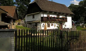 Vodní mlýn (Mítov)