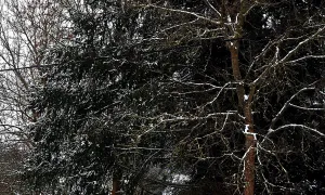 Vodní mlýn (Zahrádka)