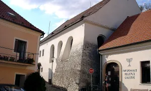 Zadní synagoga