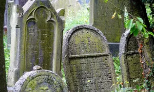 Židovský hřbitov v Drážkově