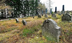Židovský hřbitov v Olšanech