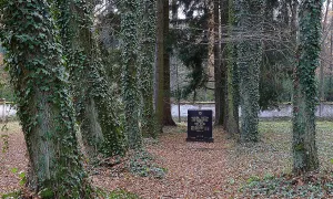 Židovský hřbitov v Třeboni