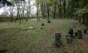Židovský hřbitov ve Stráži