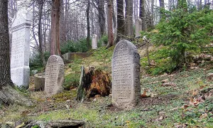 židovský hřbitov v Rokytnici v Orlických horách