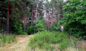 Halštatské a středověké hradiště
