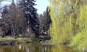 Ludvíkův mlýn