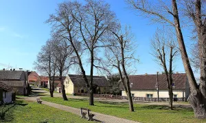 Střapole