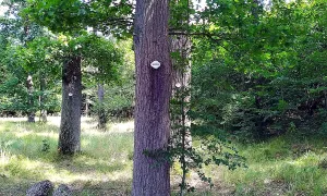 Krajinná památková zóna Orlicko