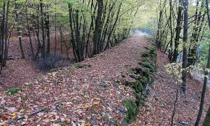 Lánská koněspřežka