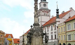 Mariánský sloup (Třeboň I)