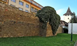 Městské opevnění v Berouně