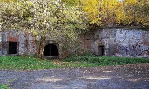 Pajkrova flošna