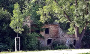 Panenská