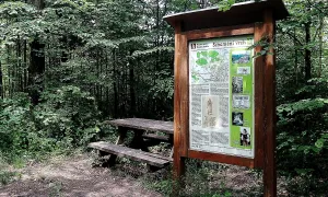 Pozůstatky šibenice
